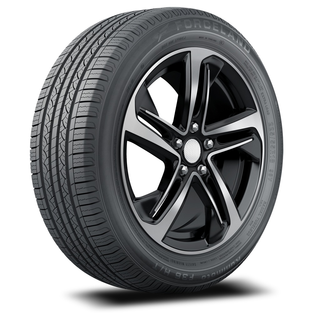 forceland-kunimoto-f36-1