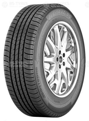 Armstrong Blu-Trac PC 205/55 R16 91H