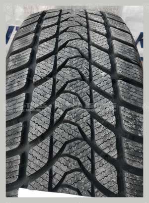 Delinte Winter WD1 275/40 R19 101H