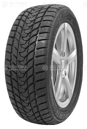 Delinte Winter WD1 275/40 R19 101H