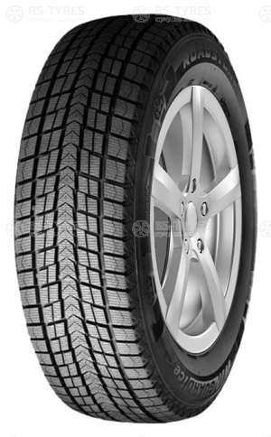 Roadstone Winguard Ice 195/55 R16 87Q