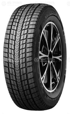 Roadstone Winguard Ice 195/55 R16 87Q